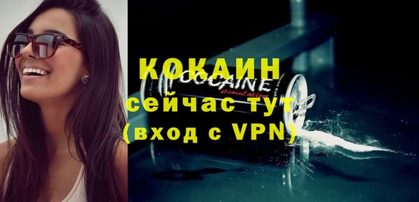 крисы Баксан