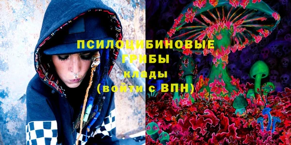 шишки Рославль